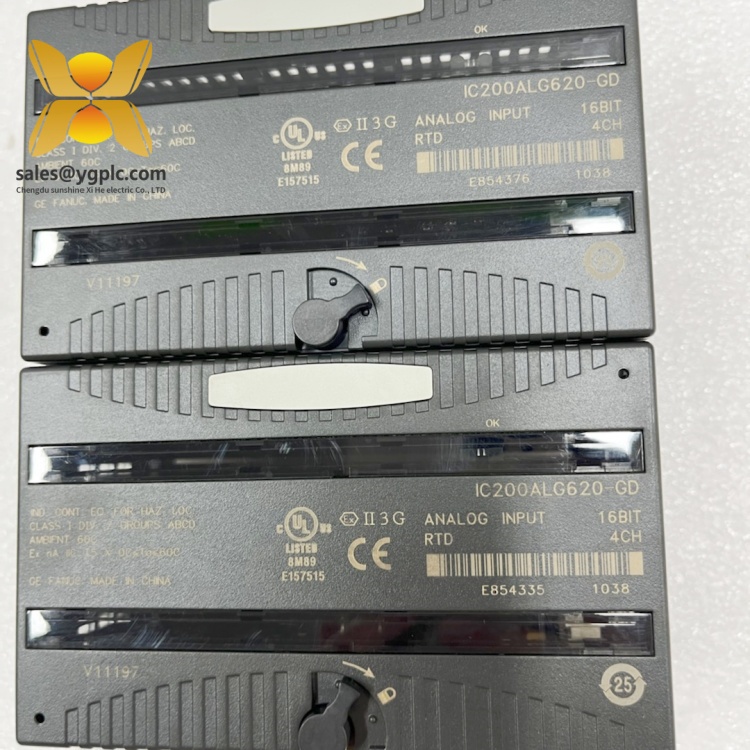 IC200ALG620