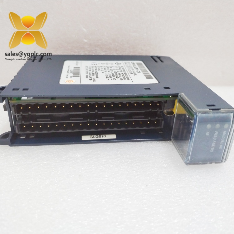 IC695ALG704-DC