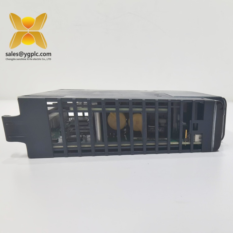 IC695ALG608-HD