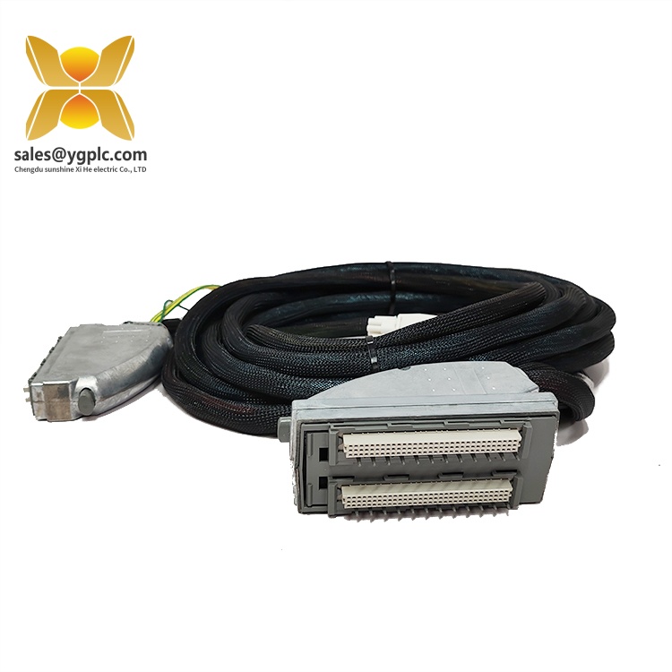 ICS TRIPLEX TC-303-01-2M0