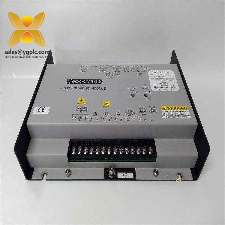 Woodward 9907-019